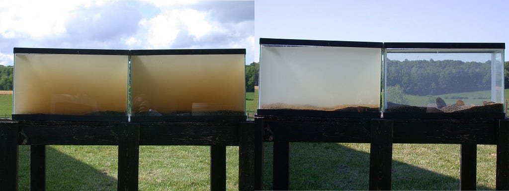 Left: Two aquariums filled with dirty water sit out in a field. Right: The two aquariums again The one on the left has cloudy water and sediment, the one on the right has crystal clear water.