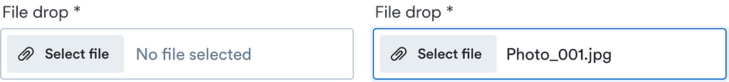An image showing two file drop components