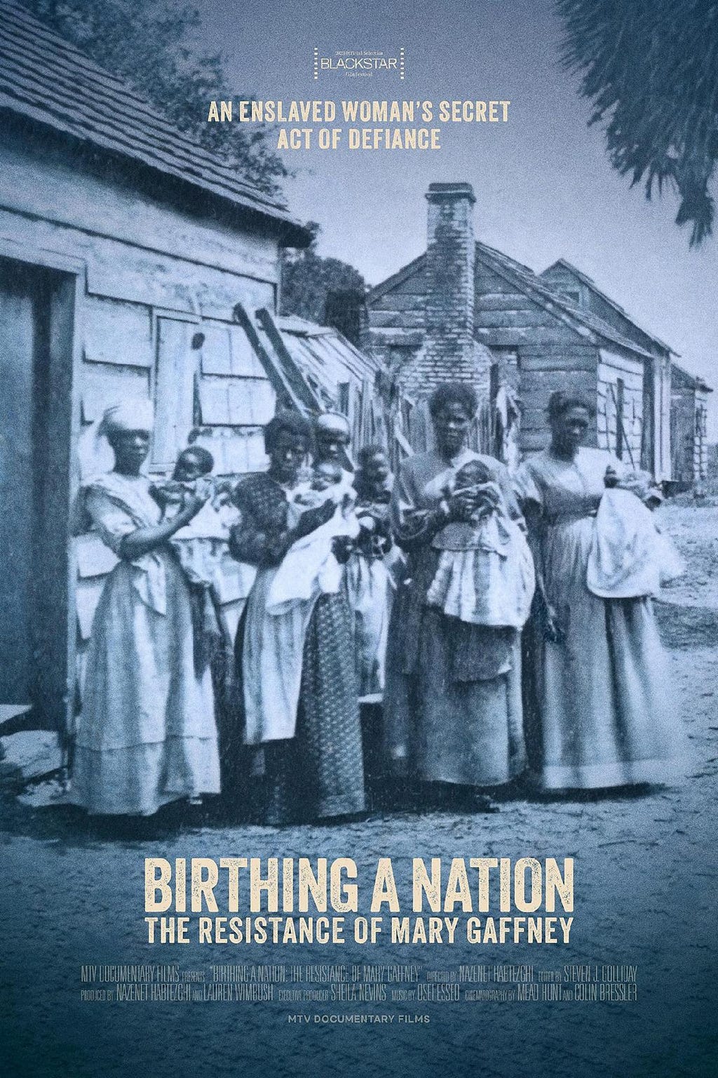 Birthing of a Nation documentary poster
