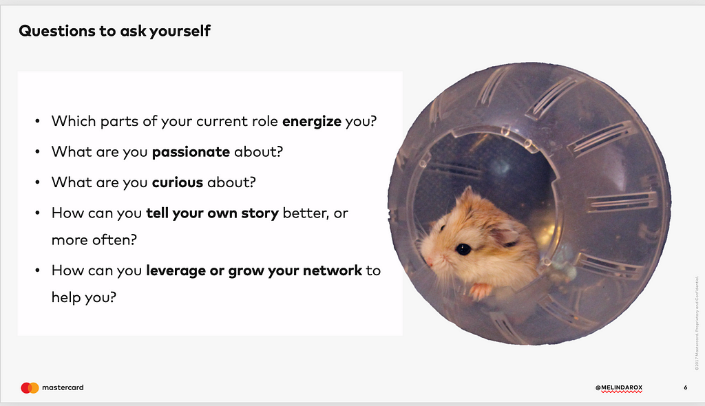 Image of a hamster in a wheel, next to a list of questions for the audience, which are listed below in the text.