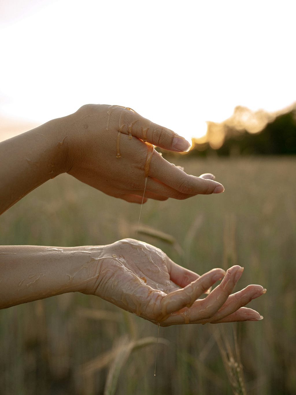 Detail on hands in the sunlight on a meadow.