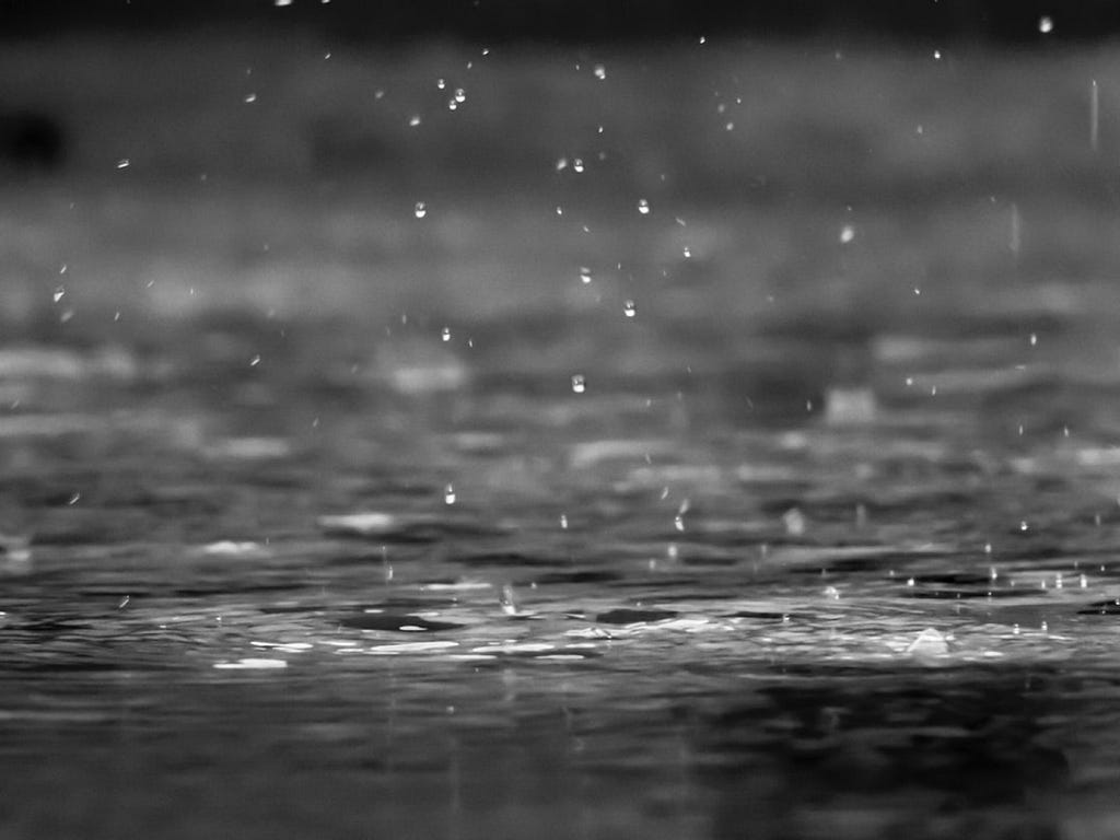 Raindrops falling onto the surface of a dark body of water.