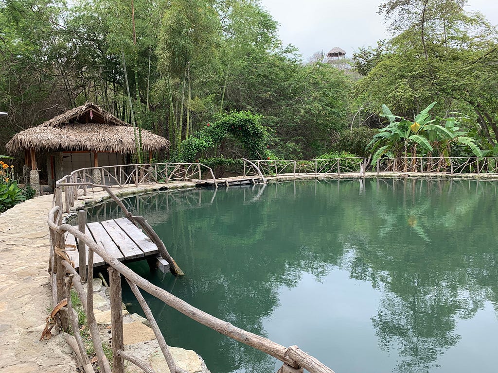 A greenish grey circular sulfur lagoon. Wooden steps lead down to the pool. A lush forest surrounds the pool.