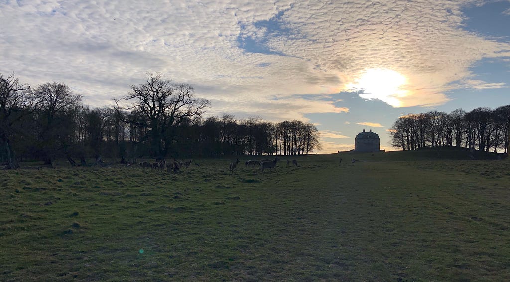 A palace and grass field. The sun is behind a cloud so everything poorly lit.