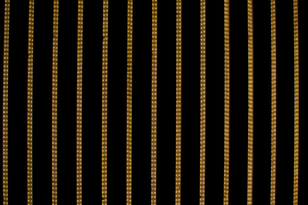 Discovering Quantum Computing series photo of the interference pattern using a particle beam light