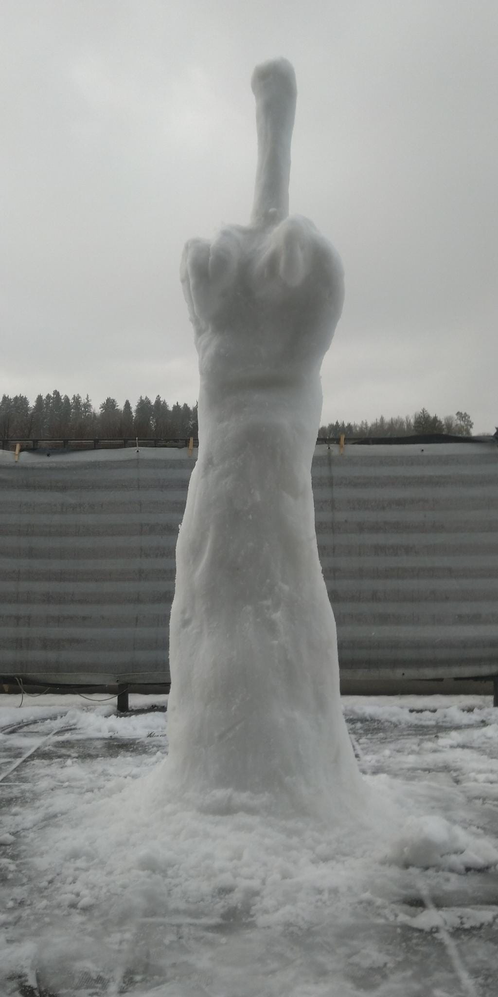 Snow sculpture of a hand showing the middle finger