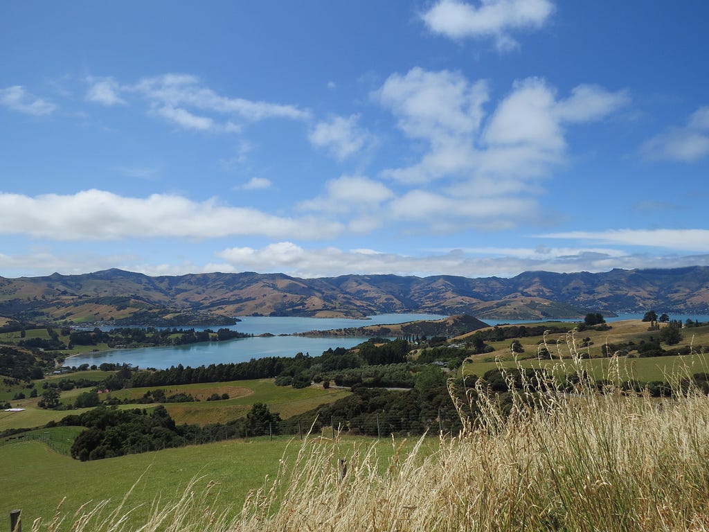 A body of water surrounded by green rolling hills. Pockets of trees dot the landscape. Fluff, white clouds are scattered across the sky.