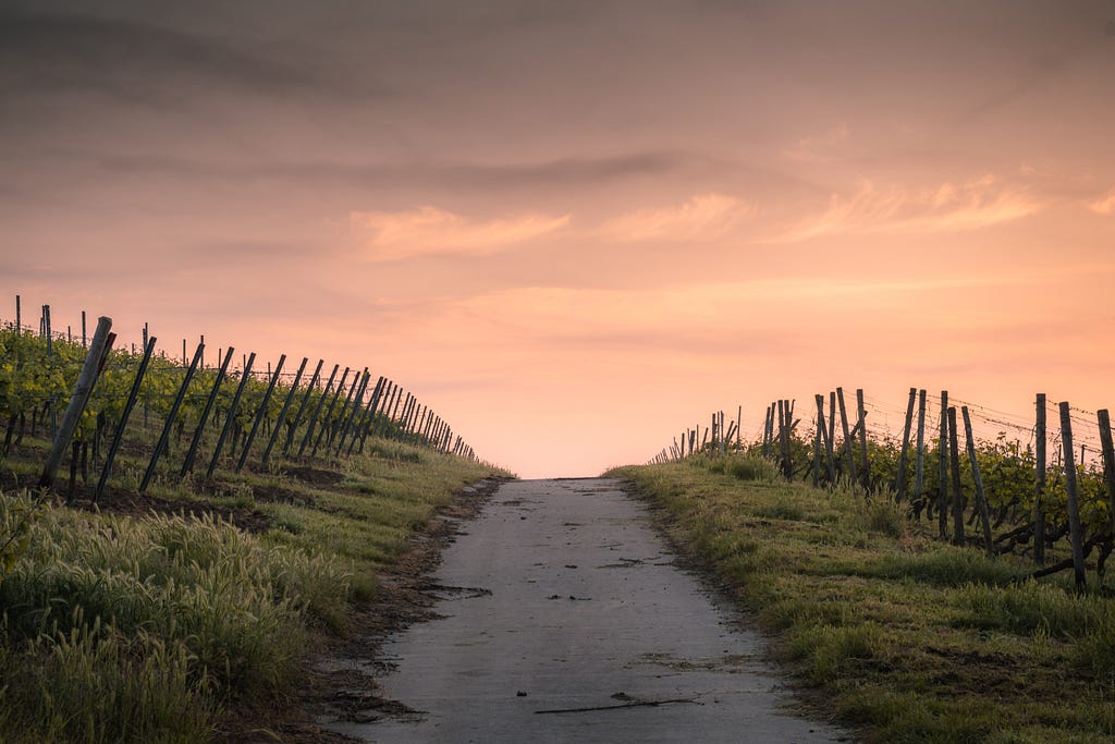 A fenced road leading to a horizon of imminent sunrise