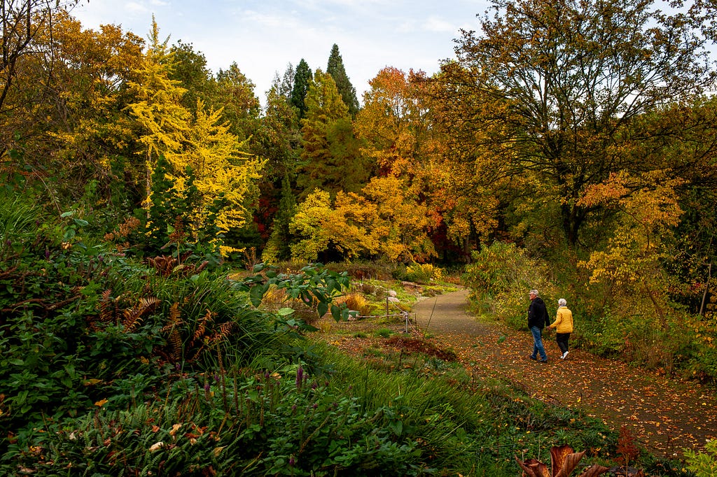 A couple walks along an autumnal path. Bochum, Germany, October 29, 2023.