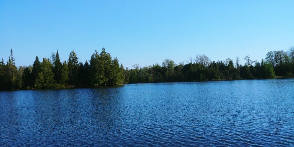 Water Access at Curleys Lake, Island in Markdale, Ontario