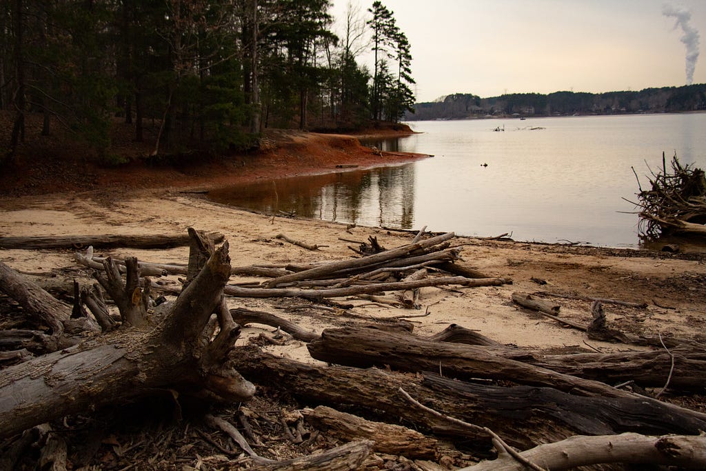 The shore of Lake Norman covered in driftwood.