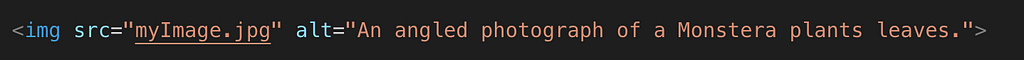 A code snippet example of an image tag and alt text that says “An angled photograph of a Monstera plants leaves”