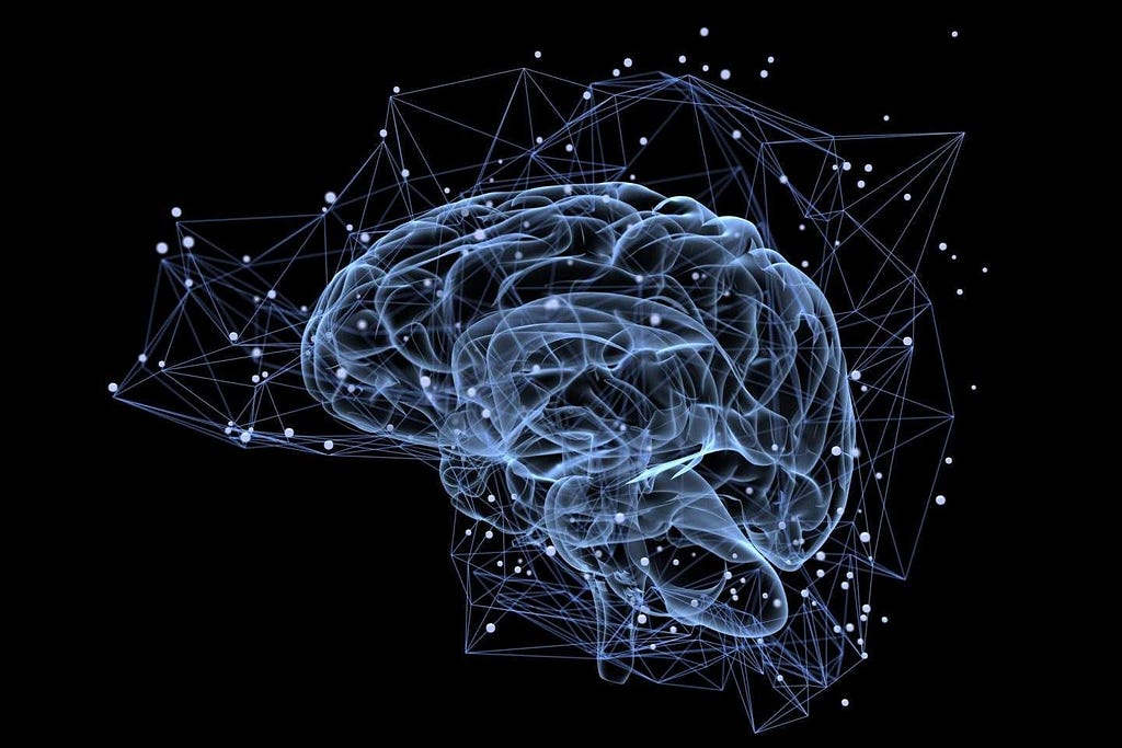 Model Order Selection for Neural Data