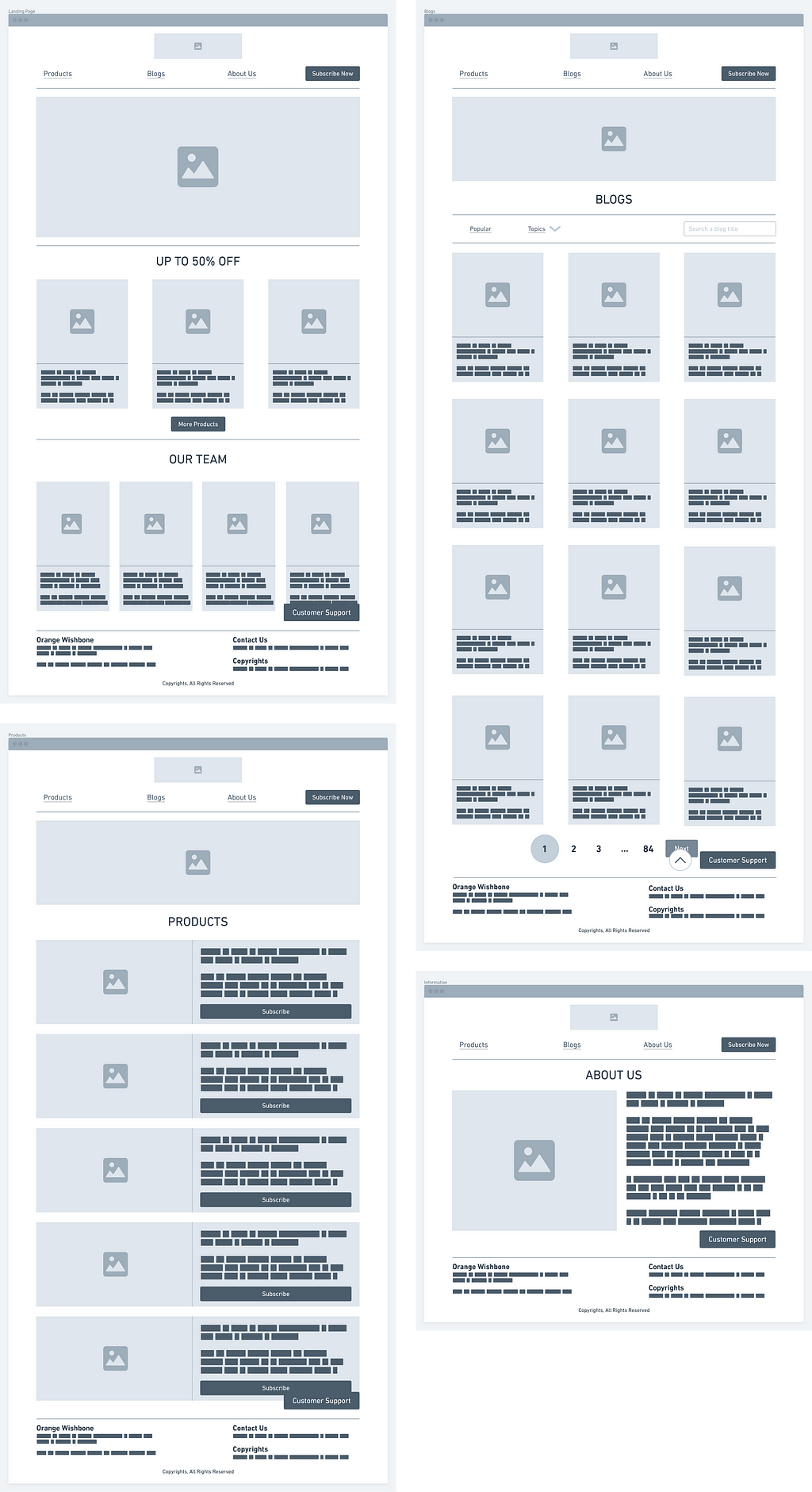 Low-Fidelity wireframes of the landing page, Products page, Blogs page, and About Us page
