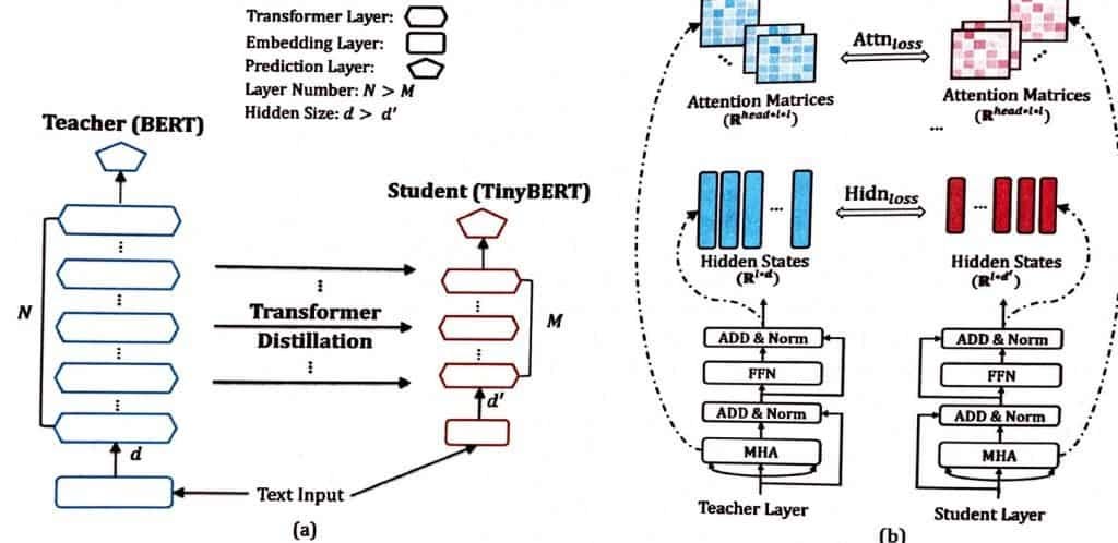 An image shows How Tiny AI works