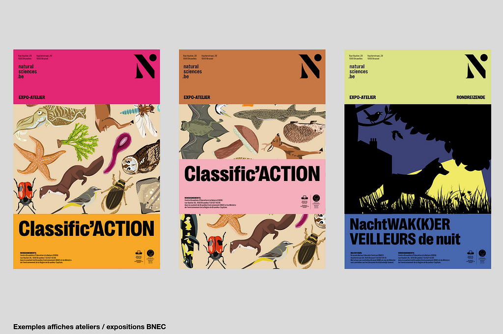 Three posters from the Institute of Natural Sciences’ graphic charter, each featuring the new logo and vibrant, thematic illustrations for different exhibitions and workshops.