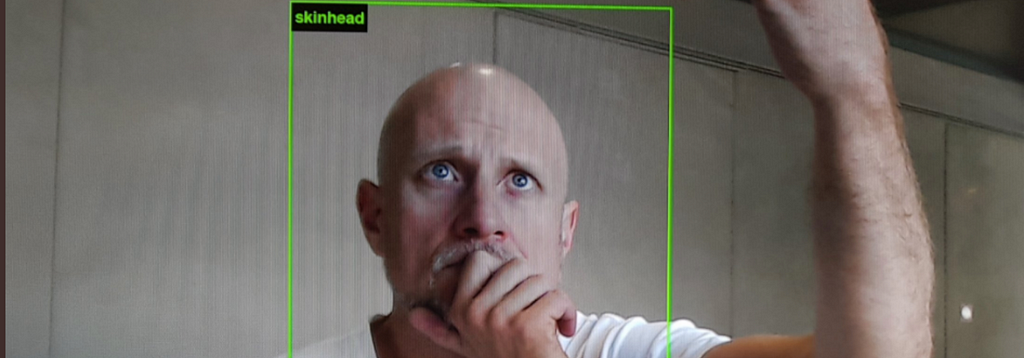 Trevor Paglen, a bald white man, looking concerned in a webcam, with a green box around his face labeled “skinhead”.