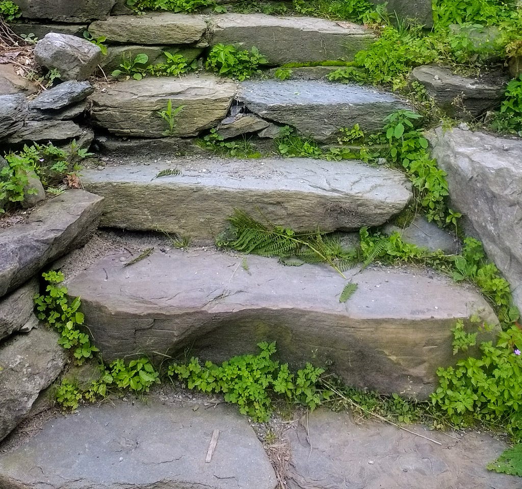 A worn stone stairway, almost overgrown with greenery.