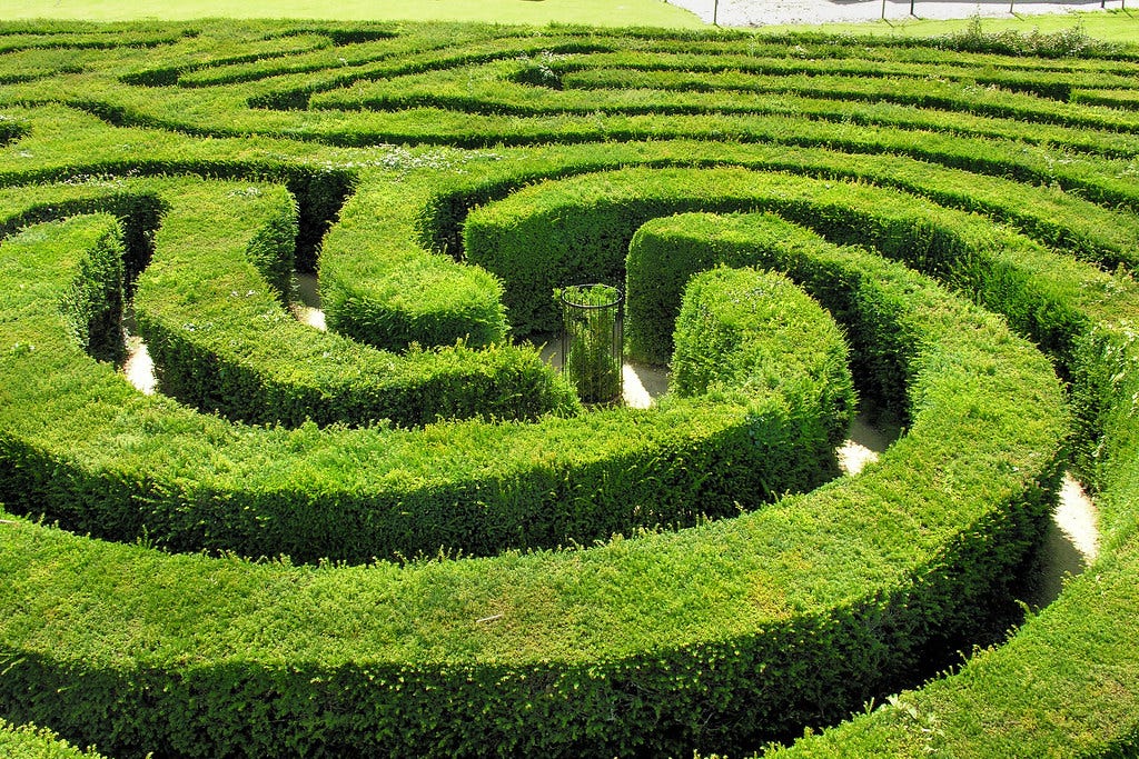 A photograph of a maze made from hedges at Longleat estate