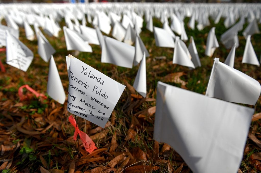White flags planted on the National Mall contain the names of those who died early on in the Covid pandemic.