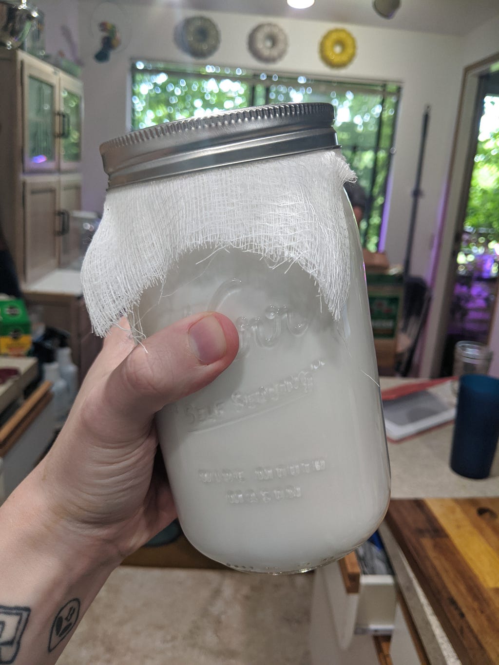 An image of a mason jar filled with coconut milk to become yogurt, held up in a bright kitchen setting.