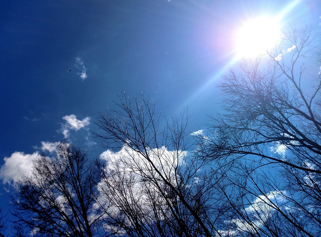 Peaceful, fluffy white clouds floating overhead in a sunny, bright blue sky with tree branches in the foreground.