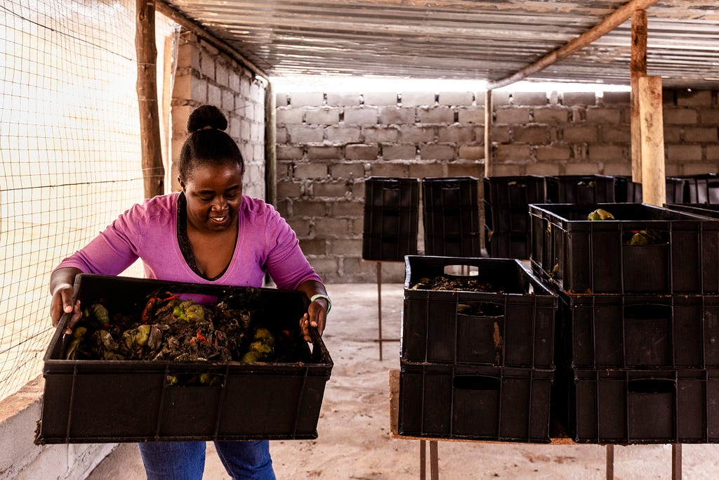 A woman in a purple shirt moves her box of bio waste