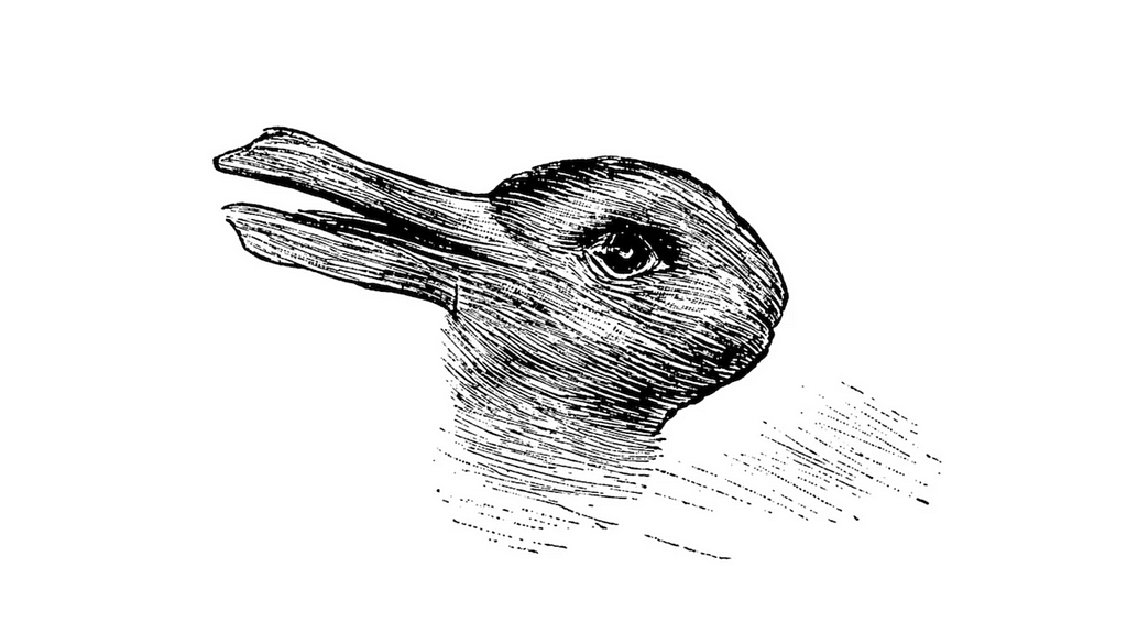 The famous inkdrawing of an animalhead that looks like both, a duck and a rabbit. The duck looks towards the left side, the rabbit to the right. The beak of the duck resembles the ears of the rabbit; they share one eye.