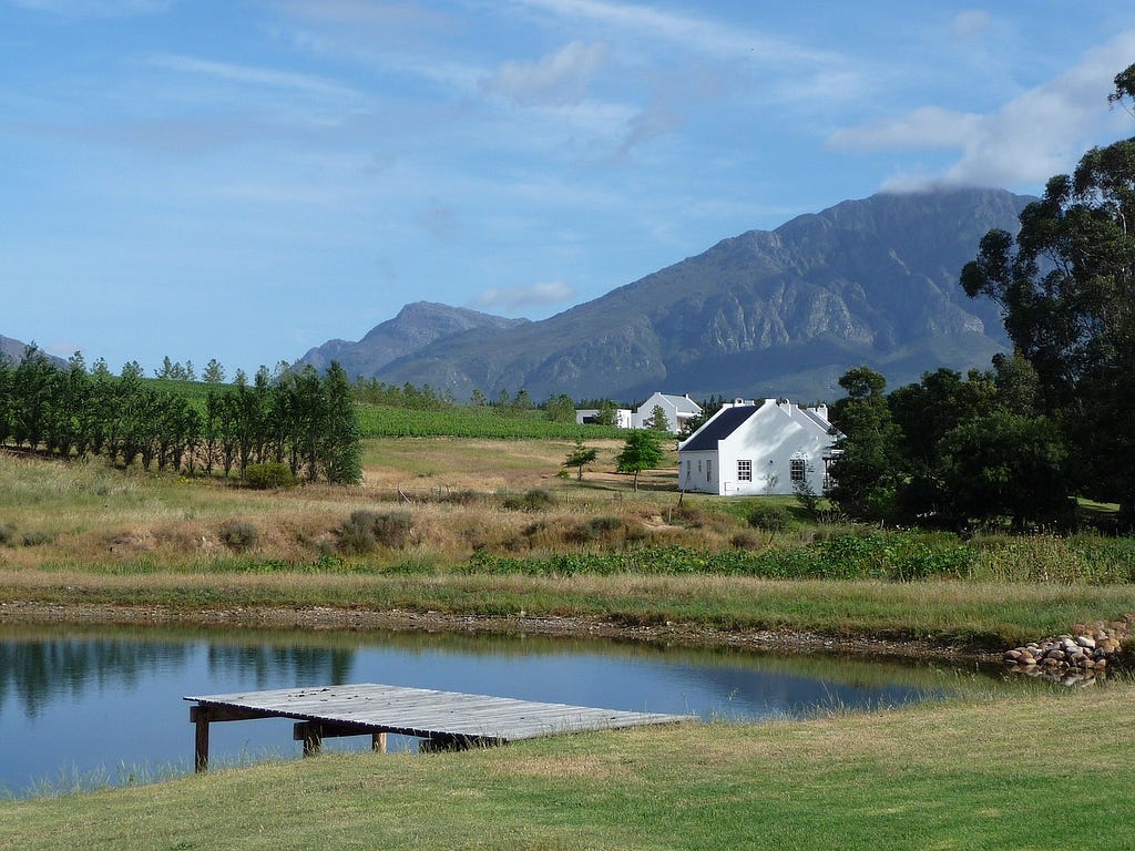 Cape Winelands — Wine tasting and vineyards