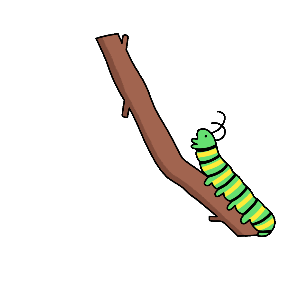 A gif of a caterpillar metamorphosing to a butterfly