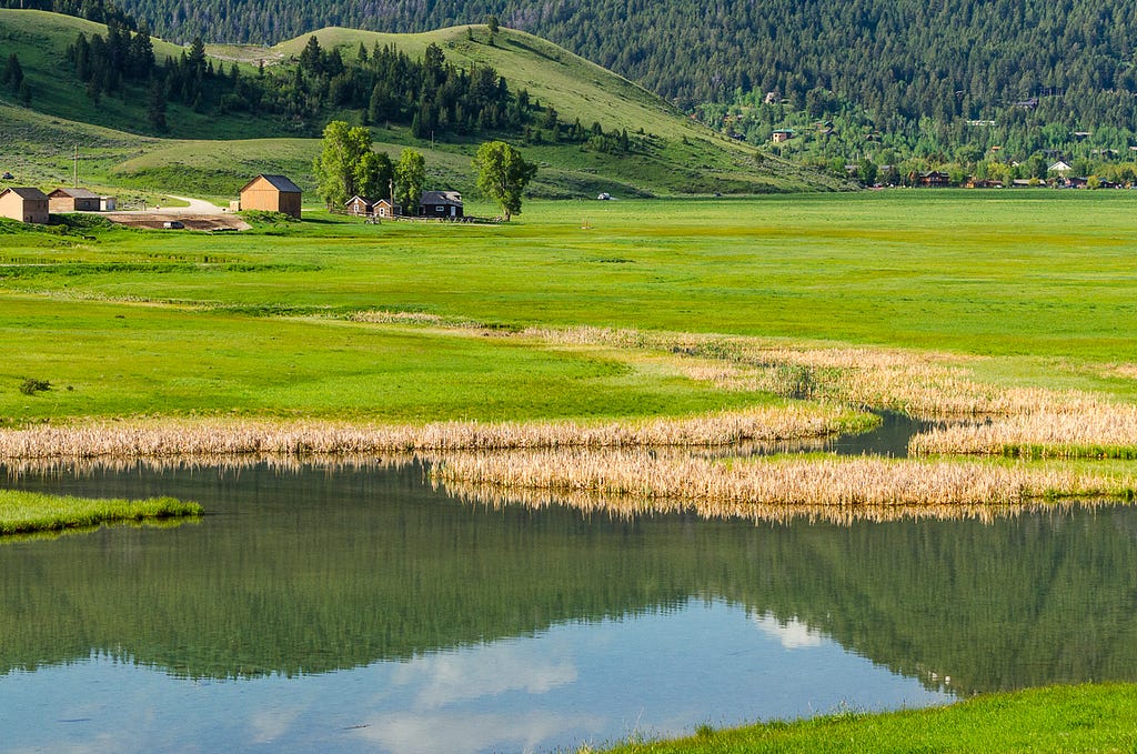 A ranch, with vibrant green grass, next to a pond at the foot of a mountainside.