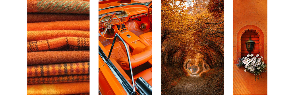Real life examples of orange (autumn, blanket, car interior, decorative wall)