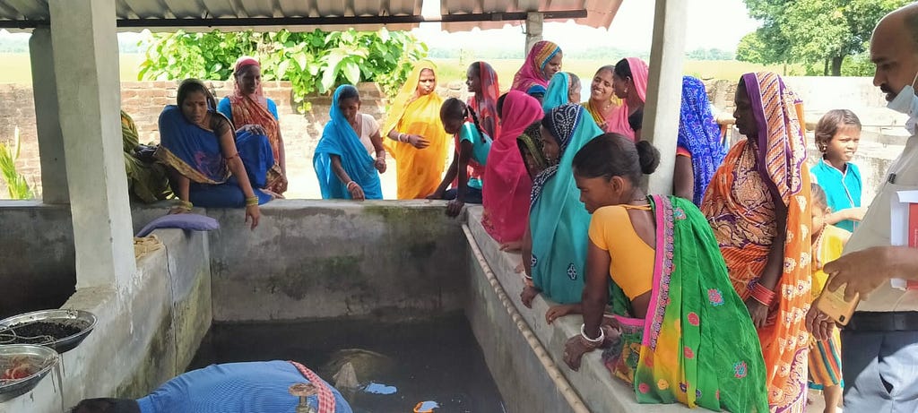 Women on an exposure visit watching makhana or foxnuts being harvested. SAKHI Bihar is mobilizing women for reviving Makhana or foxnuts processing in Madhubani district. (SAKHI, Bihar)