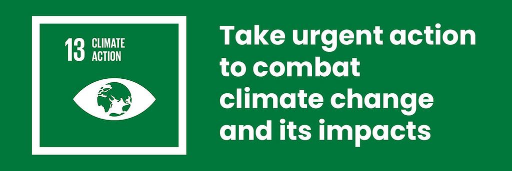 A poster for UN SDG 13: Climate Action