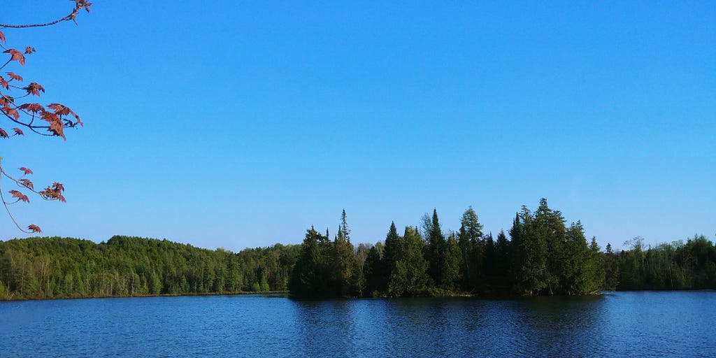 Curleys Lake, Island in Markdale, Ontario is Water Accessible