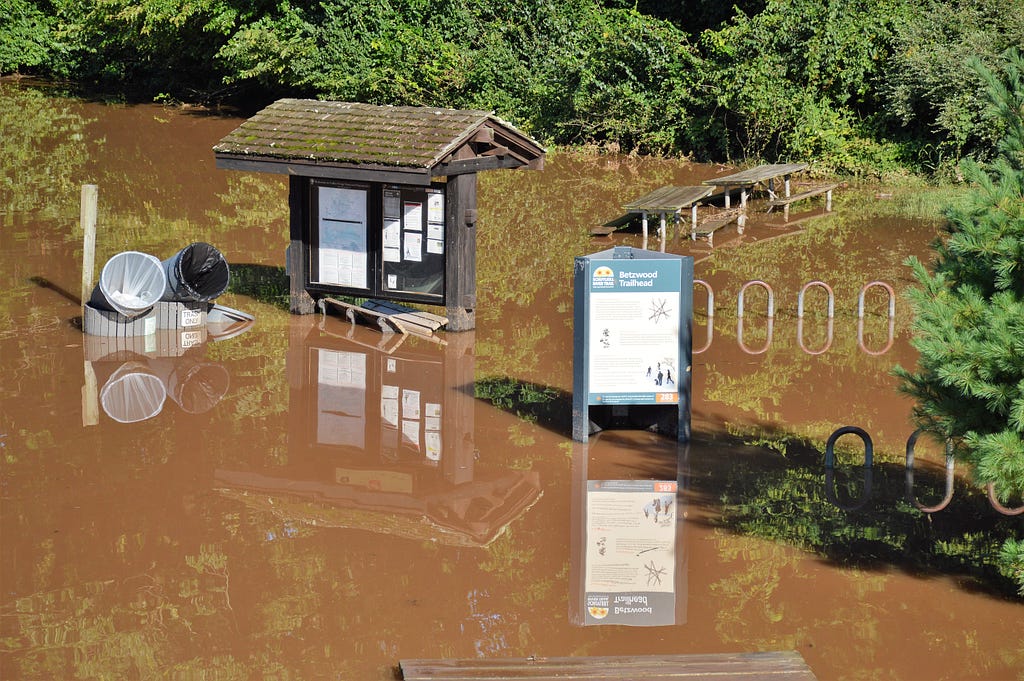 trail signs, picnic tables, and bike racks under brown water