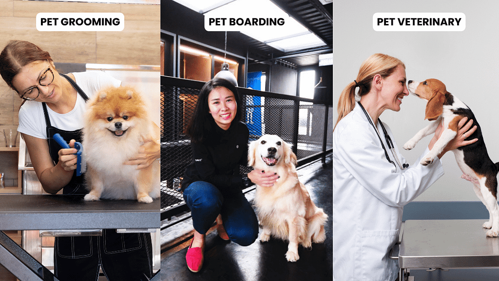 Image showing three opportunities for pet businesses: “Pet Grooming,” “Pet Boarding,” and “Pet Veterinary.” The left section features a pet groomer smiling while grooming a fluffy Pomeranian. The middle section shows a pet boarding staff member kneeling beside a happy Golden Retriever in a modern boarding facility. The right section depicts a veterinarian gently holding and examining a Beagle puppy.