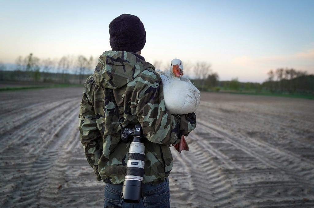 We Animals Media contributor, Andrew Skowron with a goose rescued from an embryonic farm in Poland. Photo credit: Bogna Wiltowska