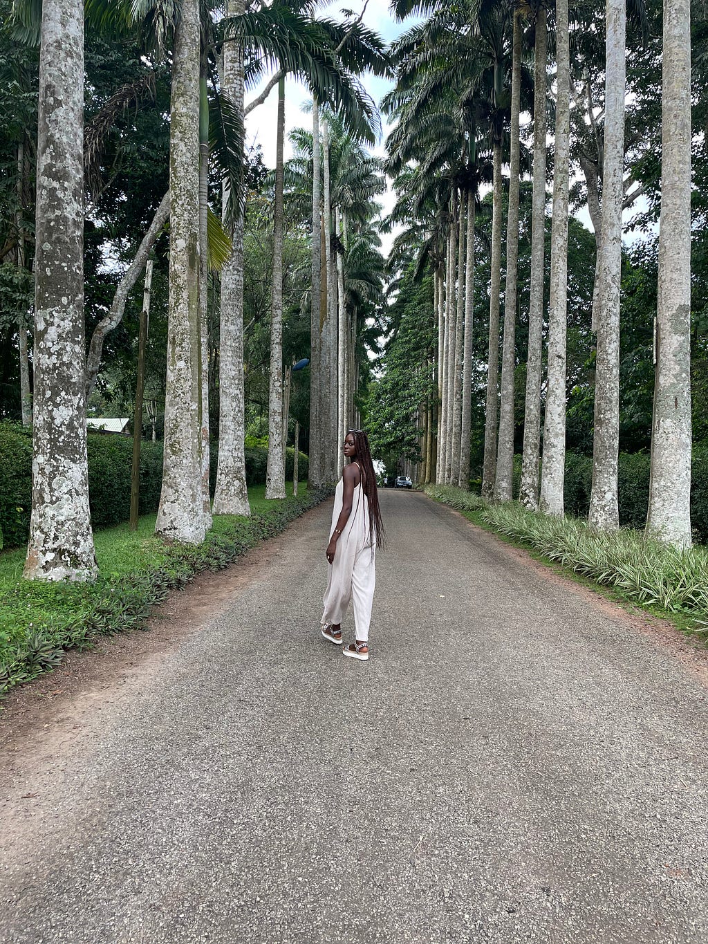 Woman in a white jumpsuit with long braids, walks down a pathway lined with white palm trees.