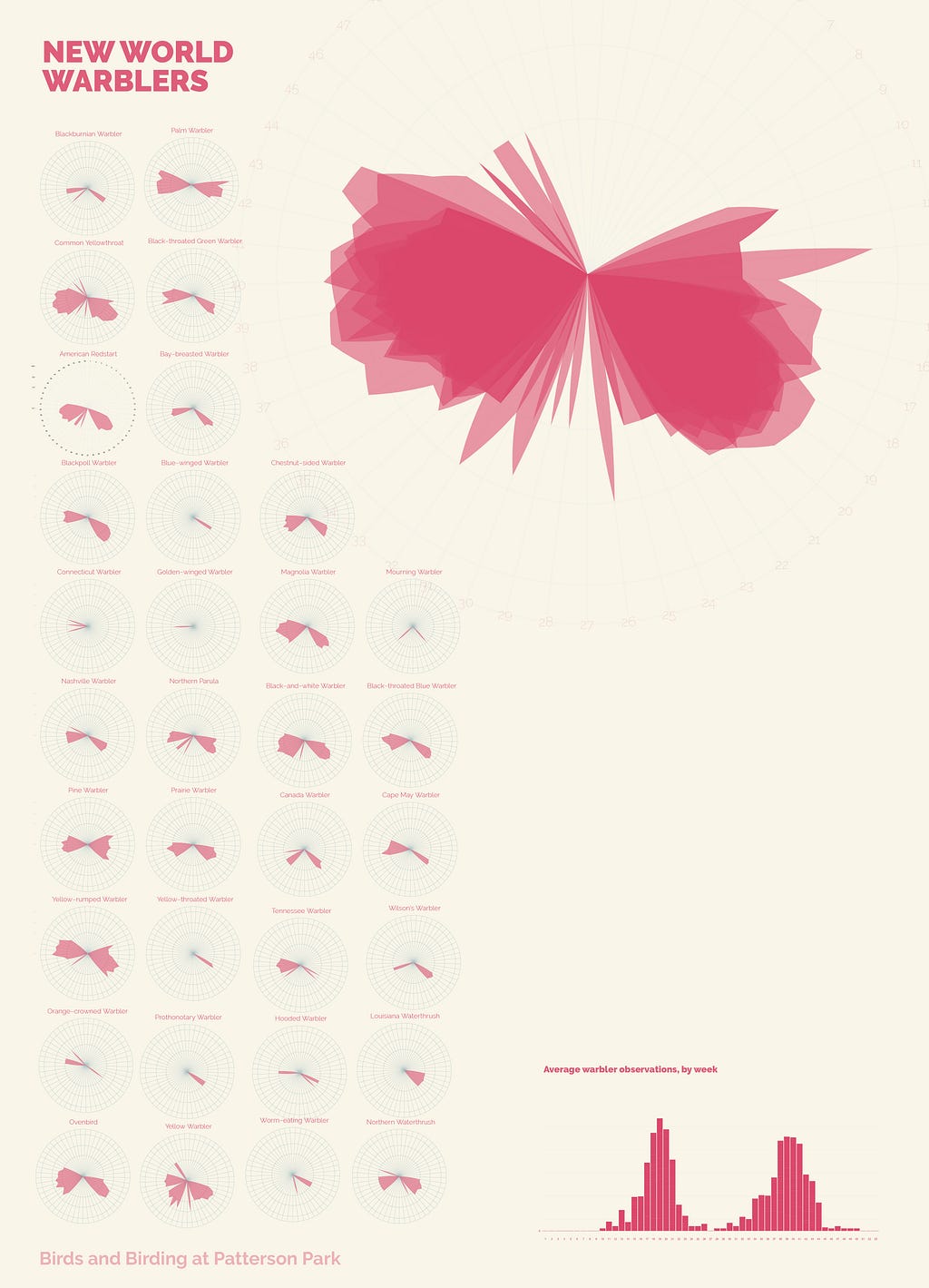 Pink radial area charts show the abundance of Warbler species at the park. Each radial is one species.