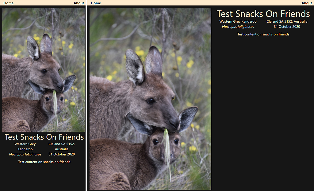 Desktop and mobile views of a portrait image of kangaroos