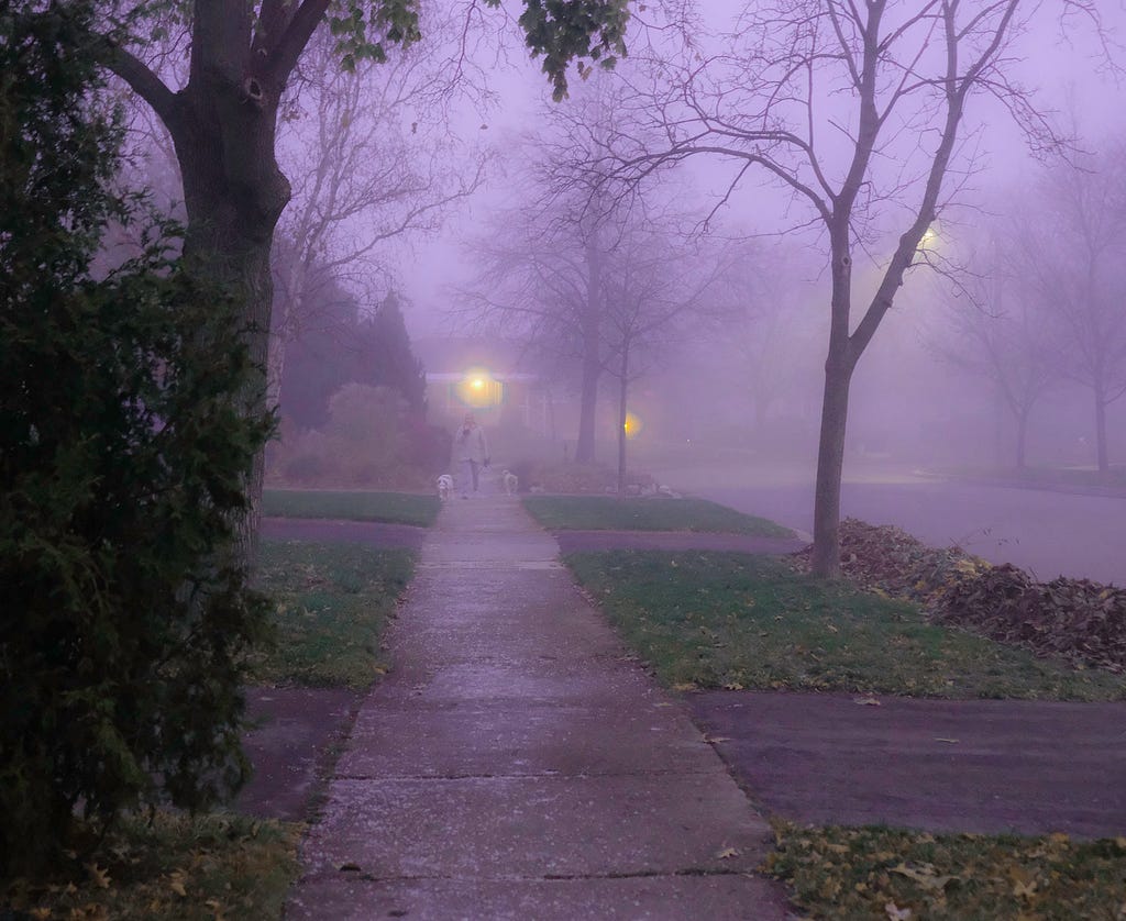 Foggy street in suburbs