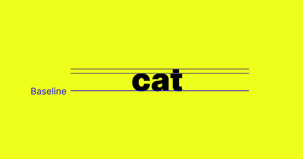 cat baseline image