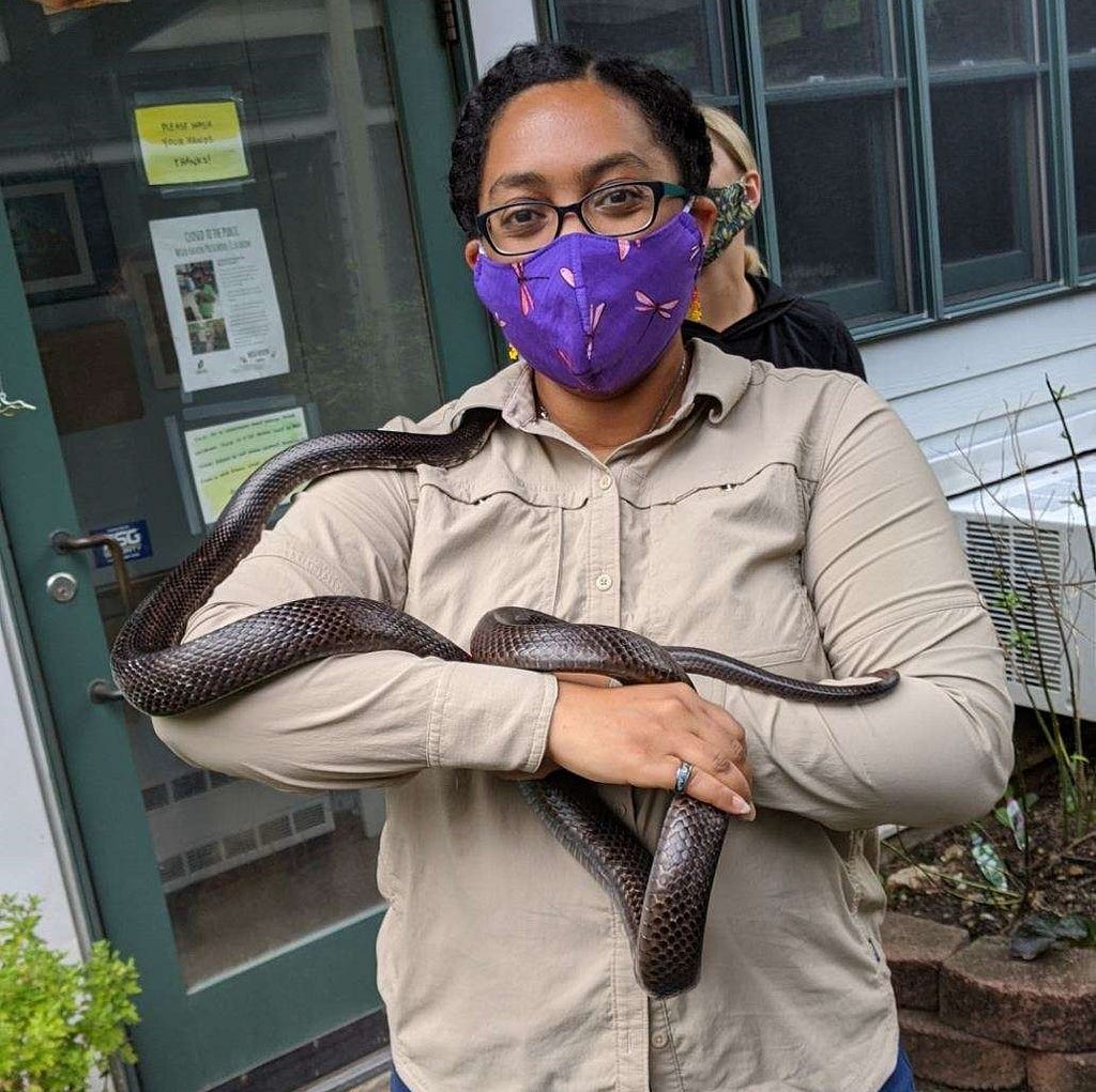 A women in a mask and brown shirt holds a large brown snake in her arms.