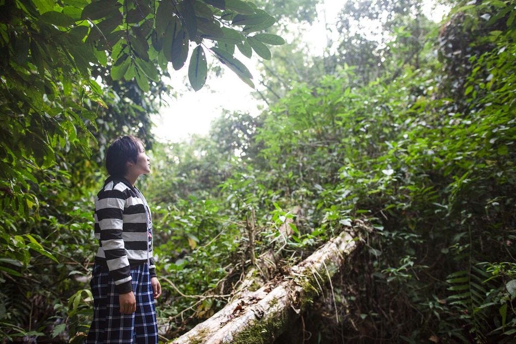 In Thailand, Karen is looking at the light above the trees, standing on a tree in the forest while she and her group are visiting the forest for their conservation class. She is wearing a blue and white striped shirt.