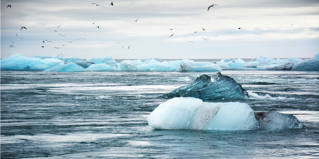 Icebergs floating in the water with birds flying around them.