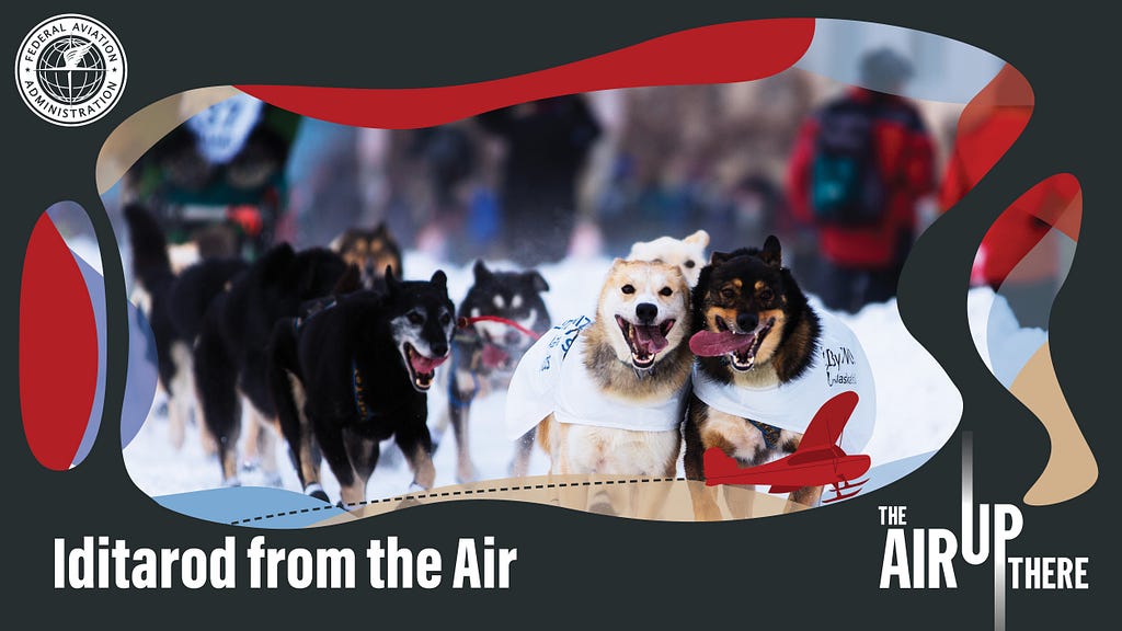 The Air Up There: Iditarod from the Air