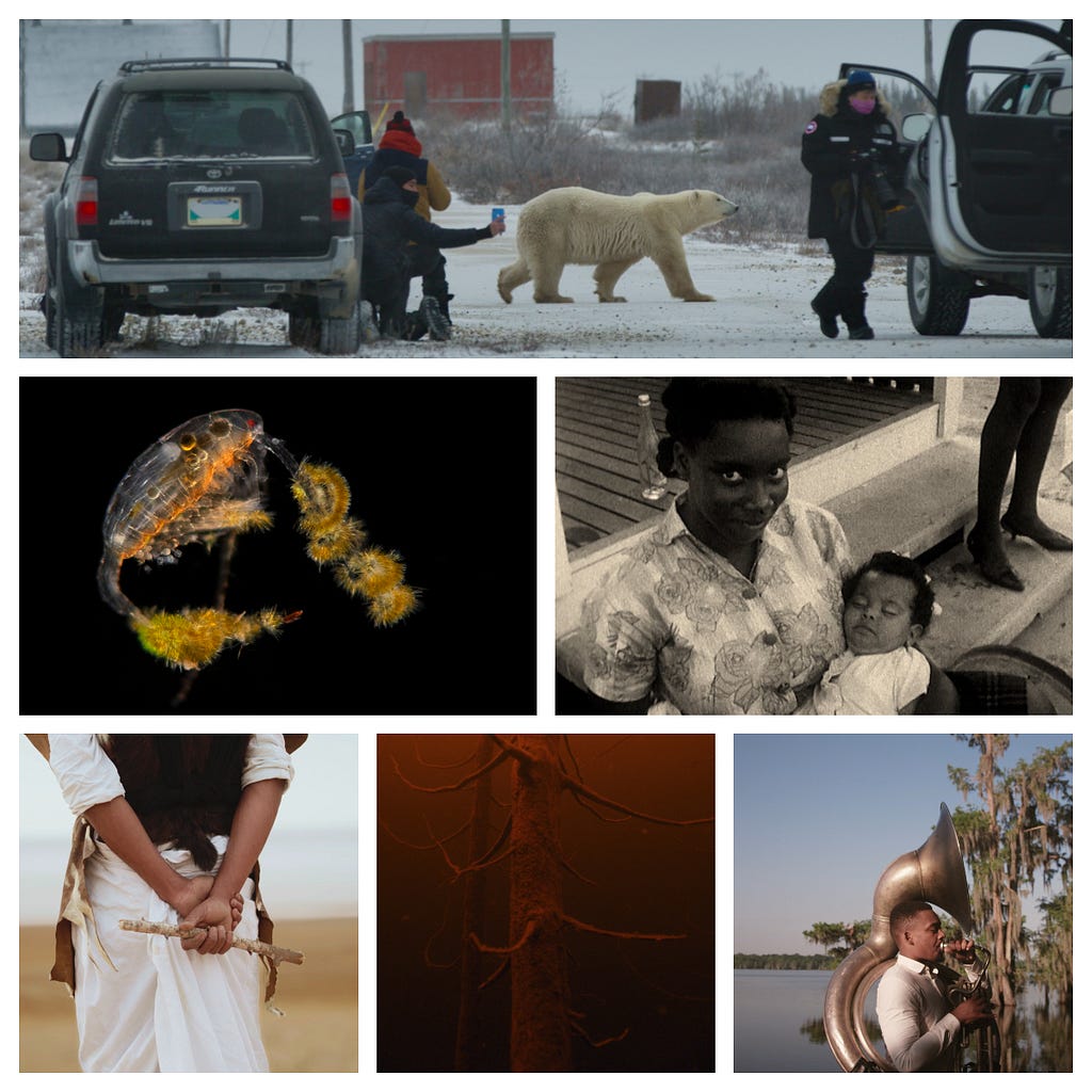 Images from the Changing Landscapes program films at this year’s DOXA Documentary Film Festival.