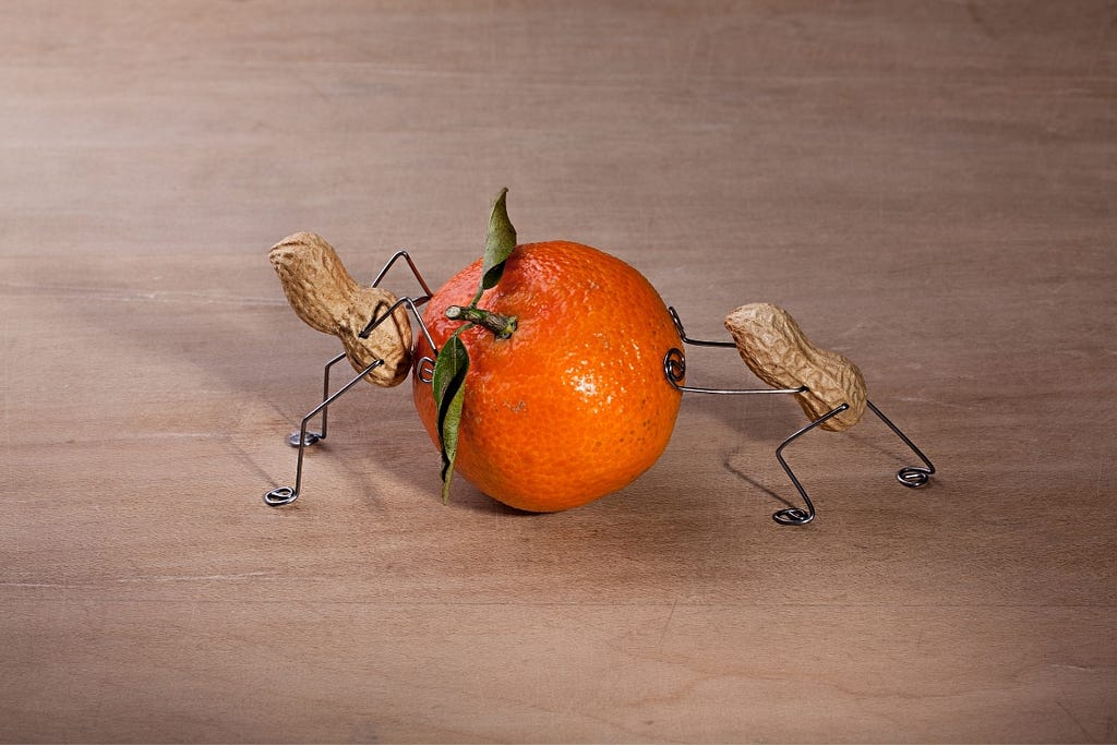 Two peanuts pushing an orange