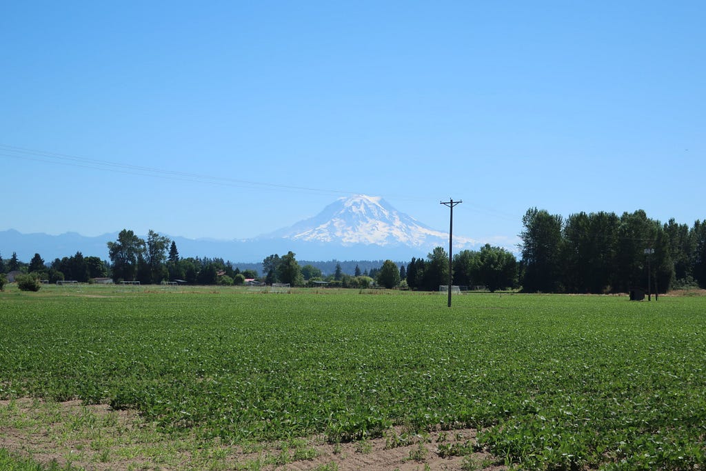 Photo of farmland in the Puyallup River watershed with Mount Rainier in the background. Photo credit: Puget Sound Partnership